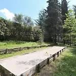 Rosmarino *