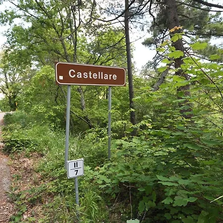 Rosmarino Gaiole in Chianti